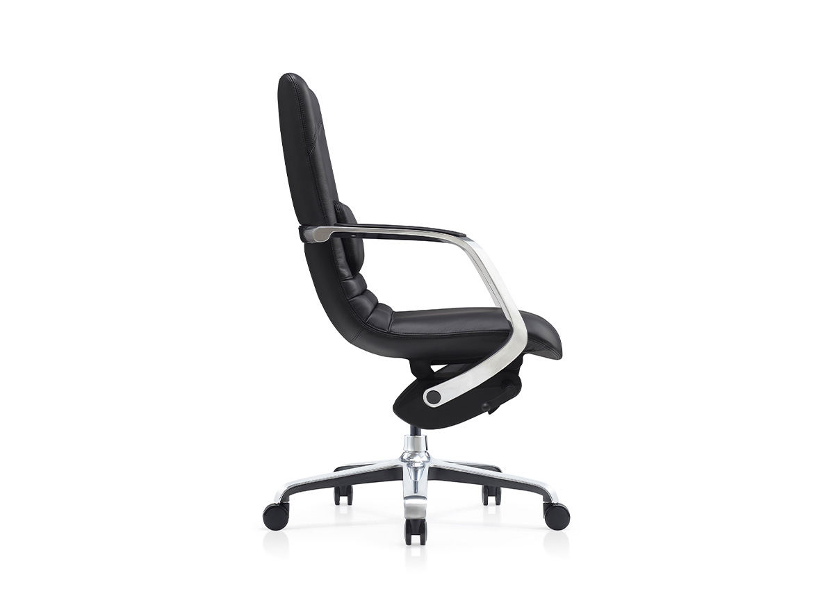 DOLPHIN SENATOR ARMCHAIR-Black - Image 2